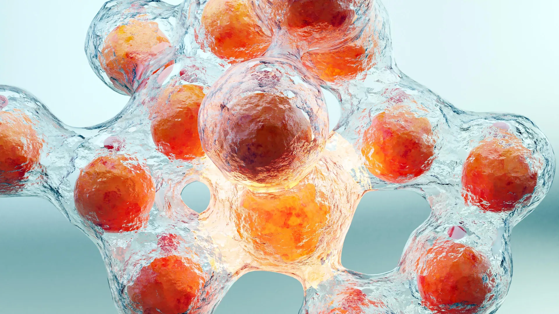 New injection makes fat cells self-destruct
